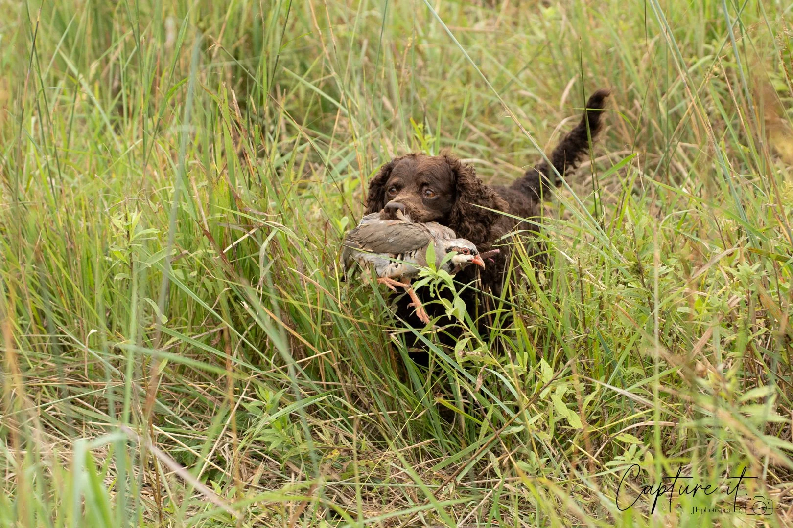 Caught this one trying to get away - 