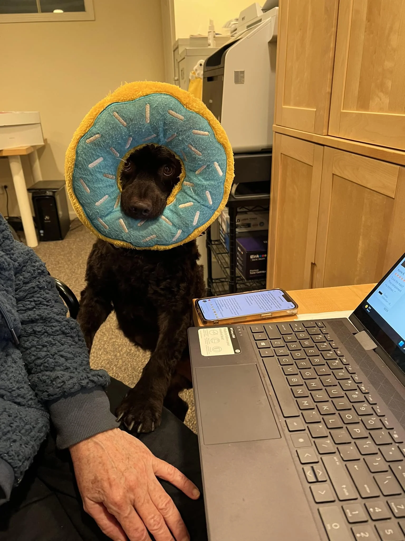 I believe you need a work break - 