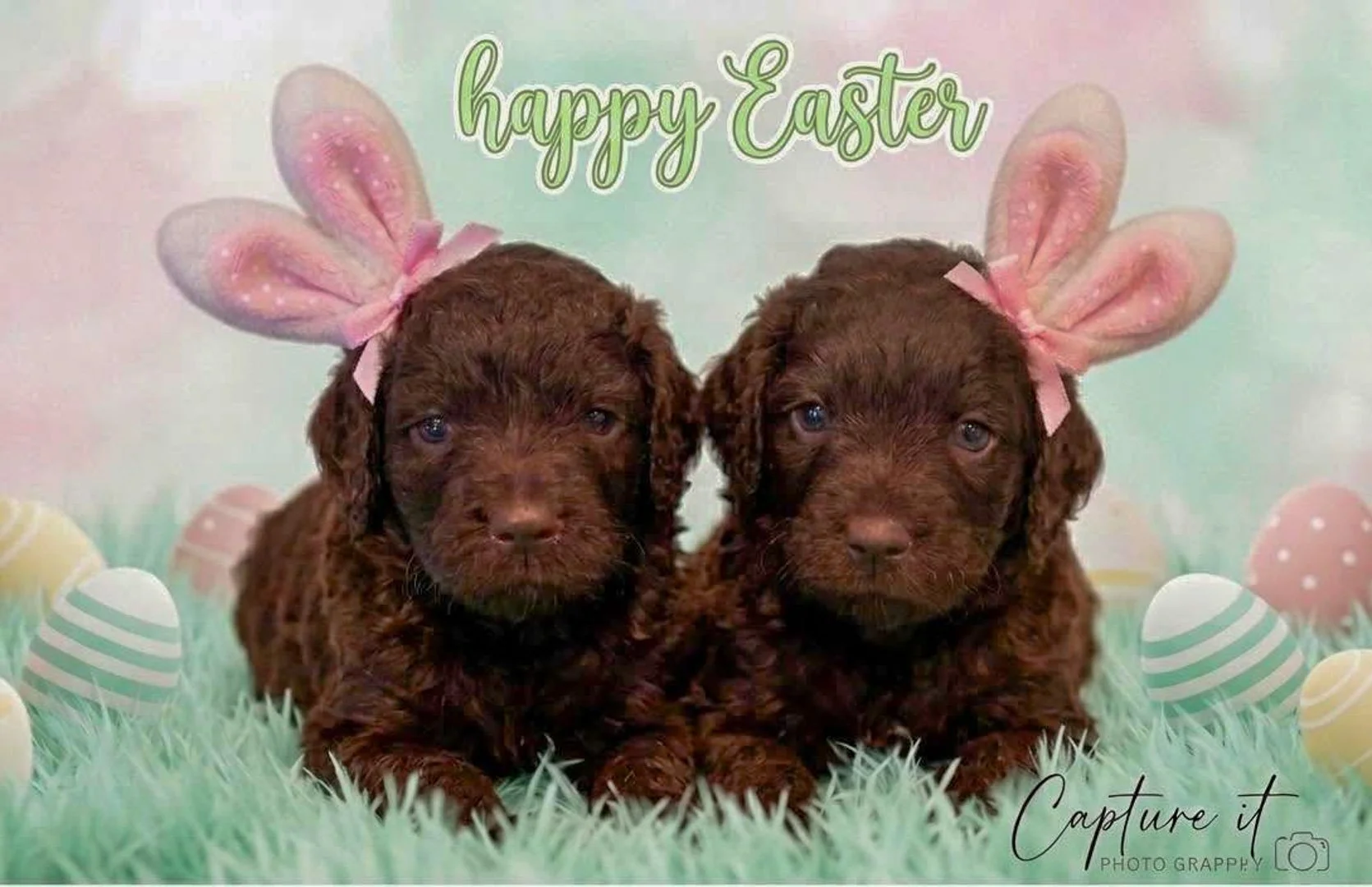 Wishing you a double wonderful Easter