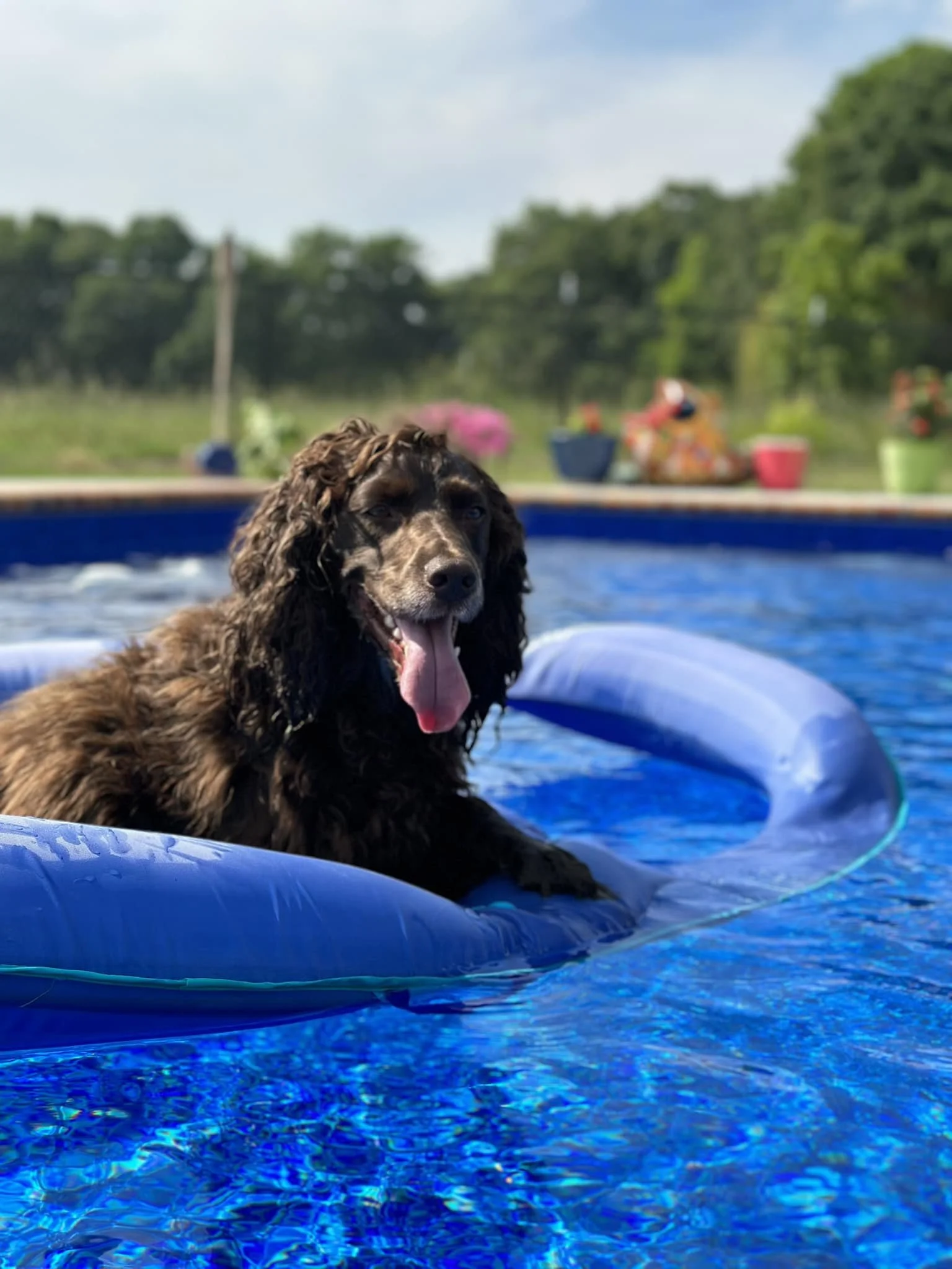 I love summer 