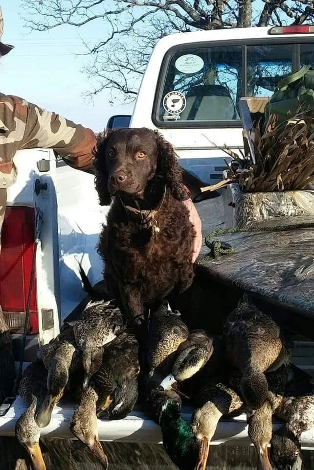 Morning work is done 
