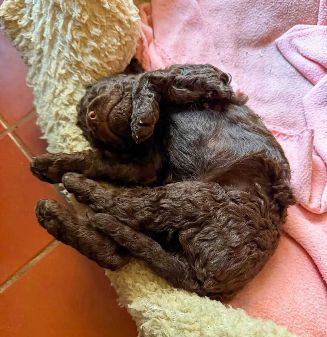 Oh - Just a bit longer till I get up! 