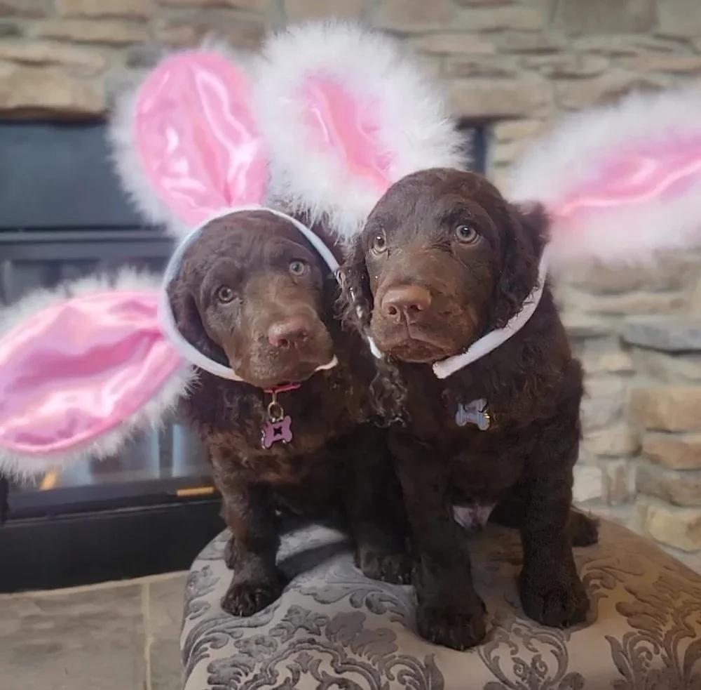 So - - we're bunnie now? 