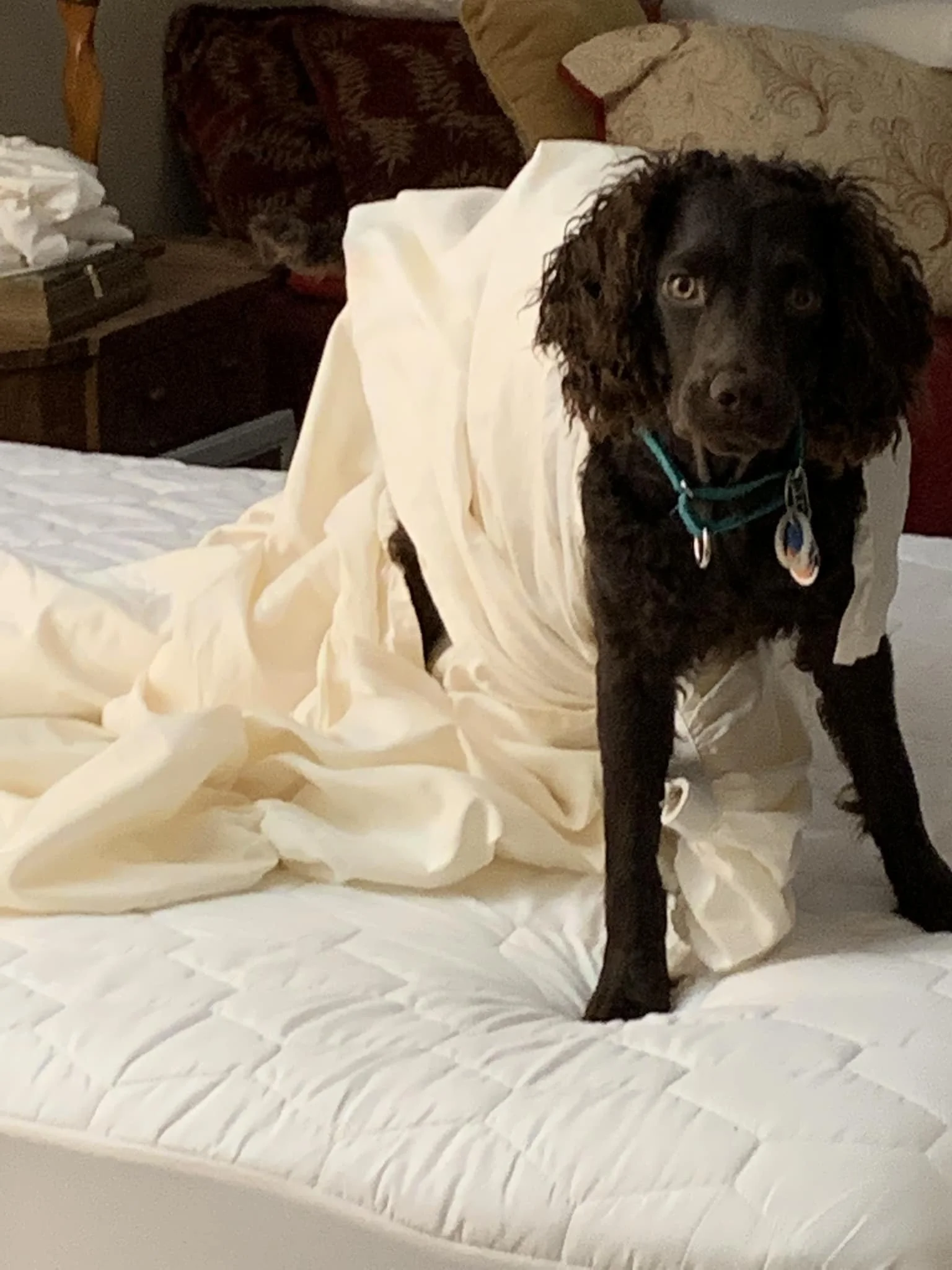 What ? you didn't sleep well? 