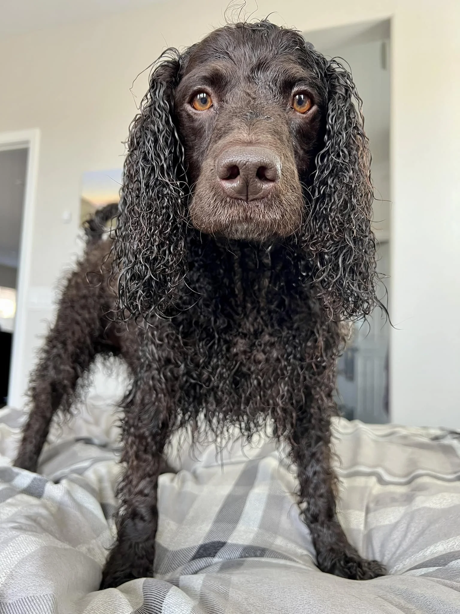 I don't do blow dryers