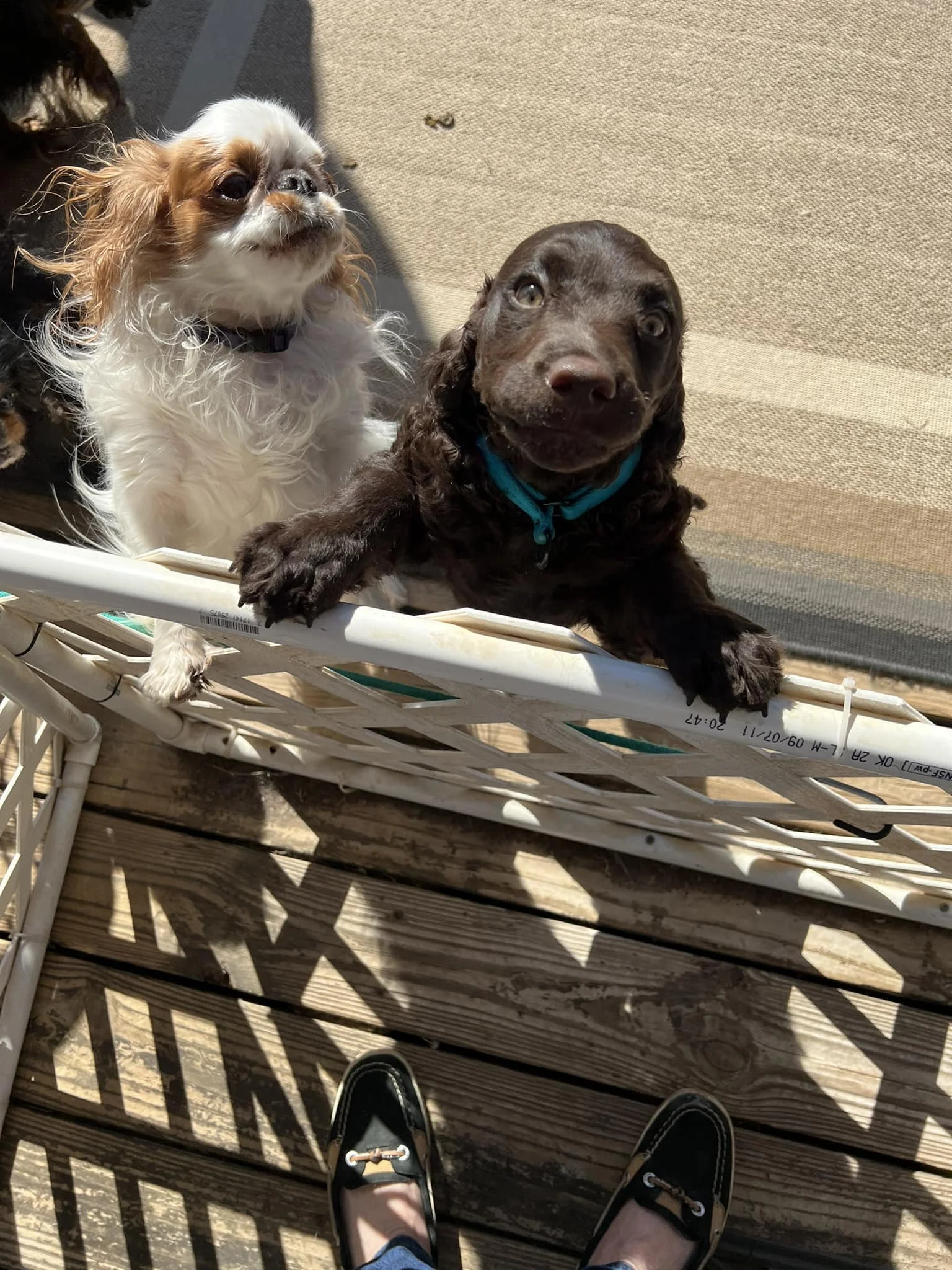 Mothing is in my mouth 