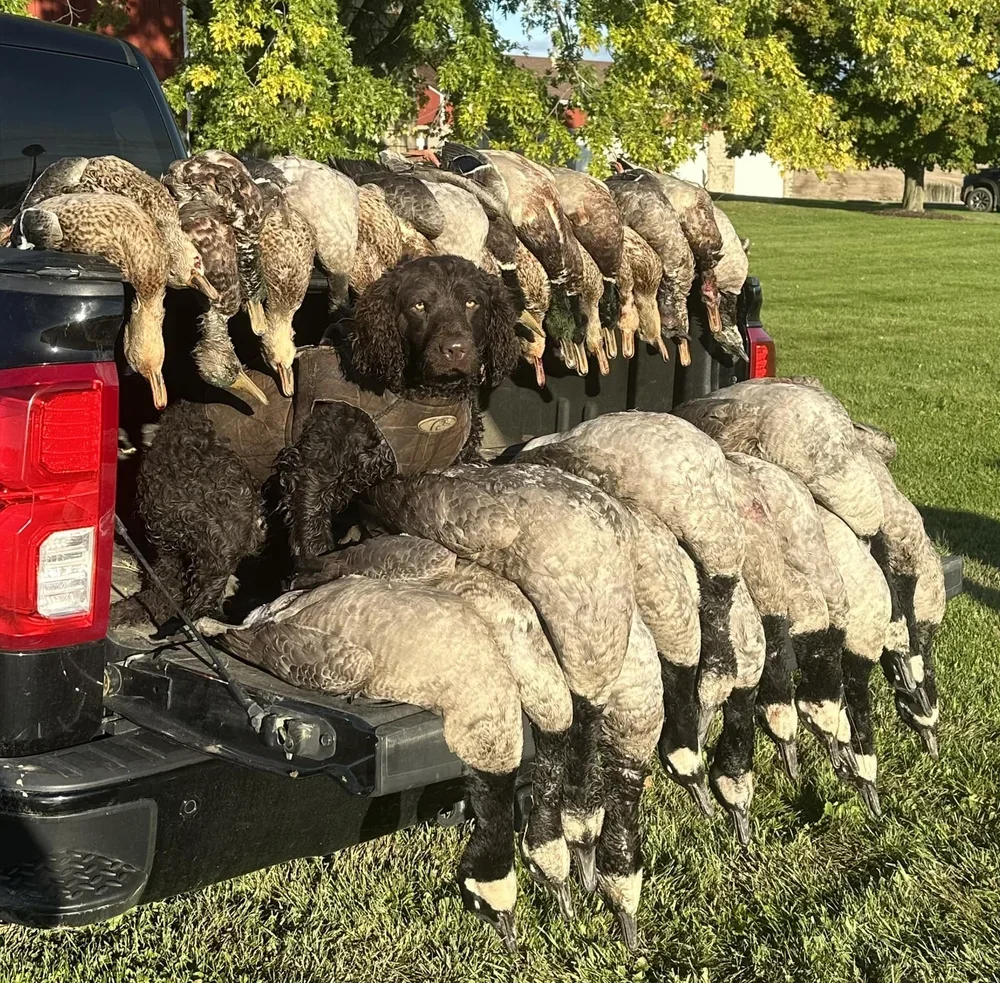 Dad - we need a bigger Truck 