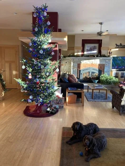 The Perfect Christmas Card