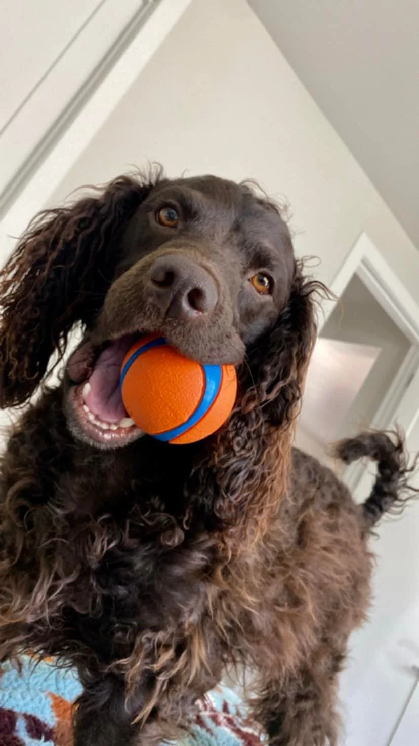Got the ball - Let's go!