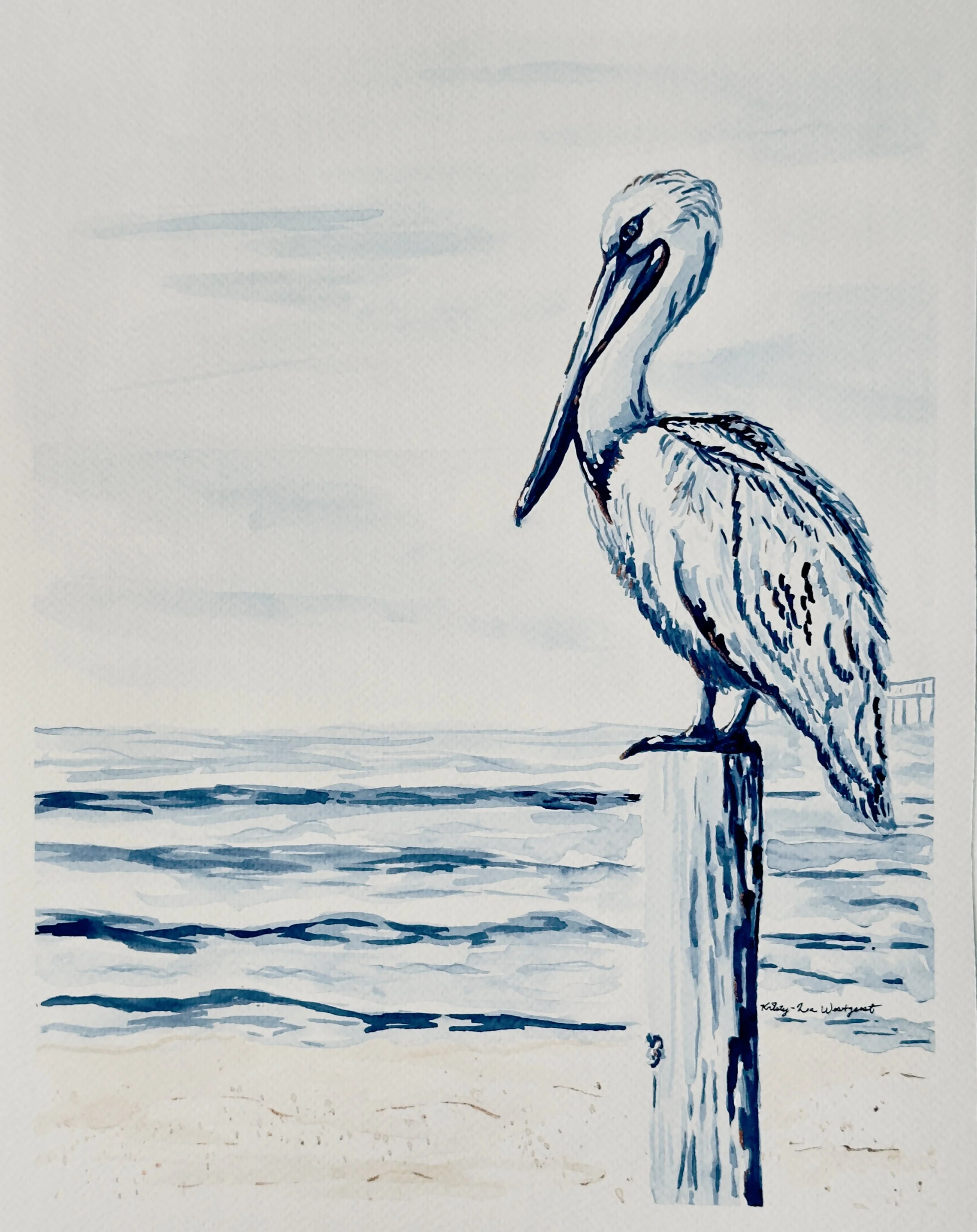 If a PeliCAN, You Can Too | Original