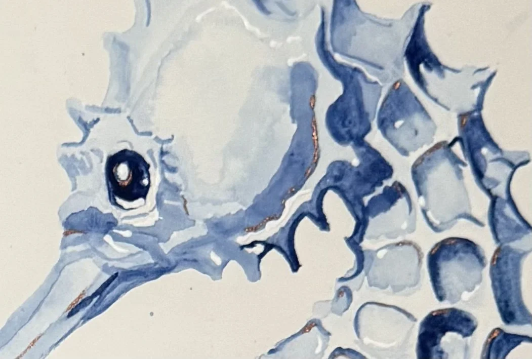 not just a seahorse 2.jpg