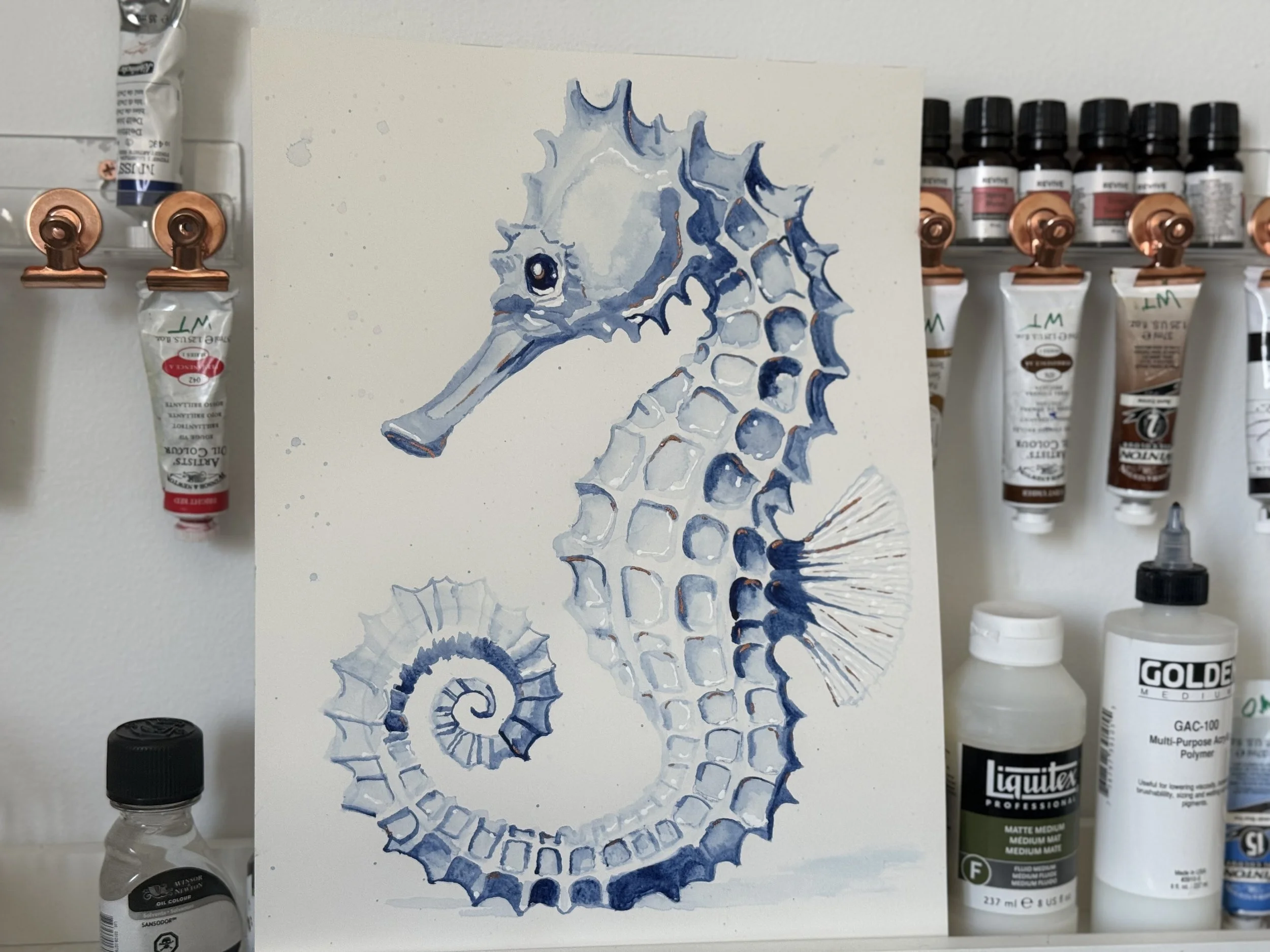 not just a seahorse 3.jpg