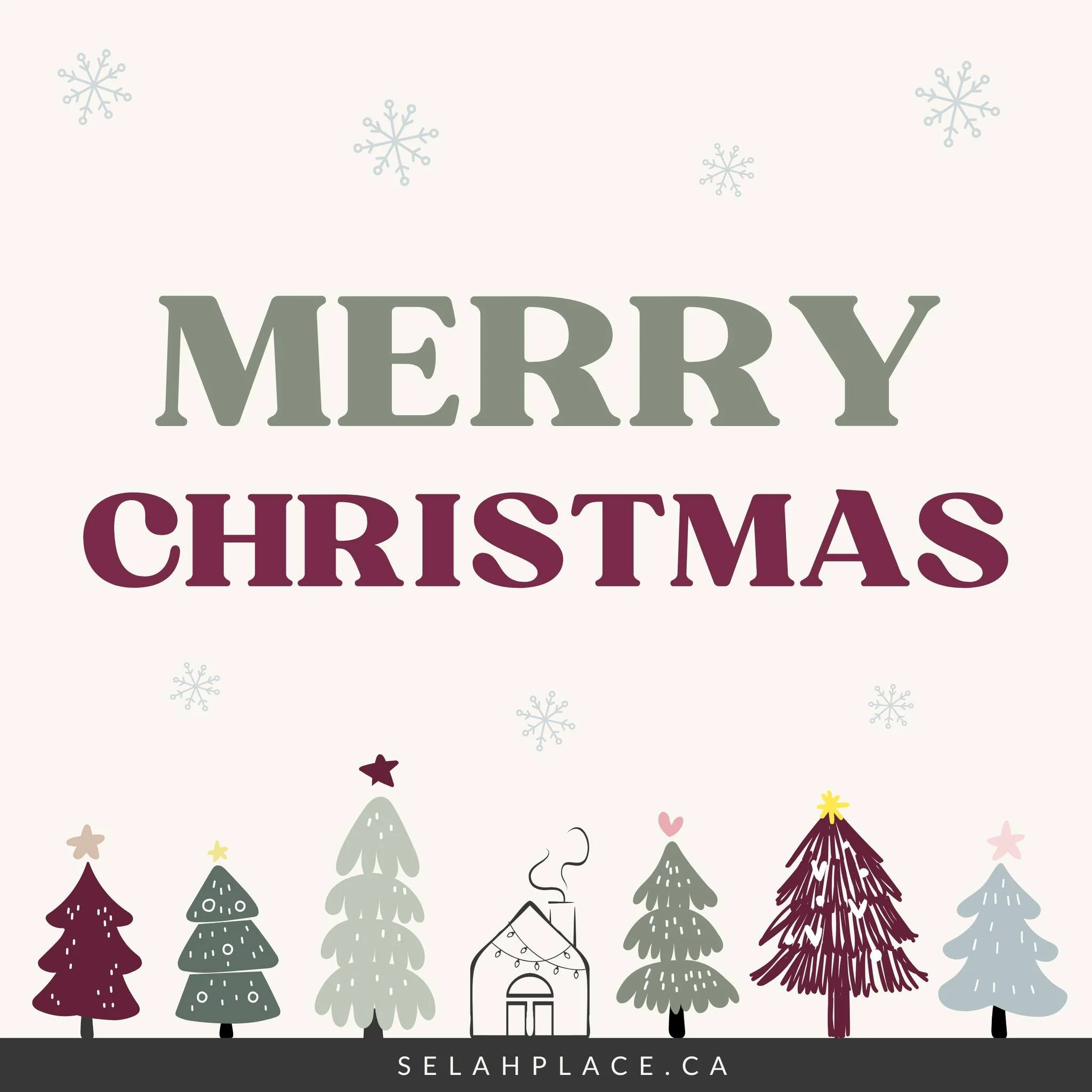 Joy to the world&mdash;the Lord has come. Merry Christmas, and thank you for your continued prayers and support. ❄️