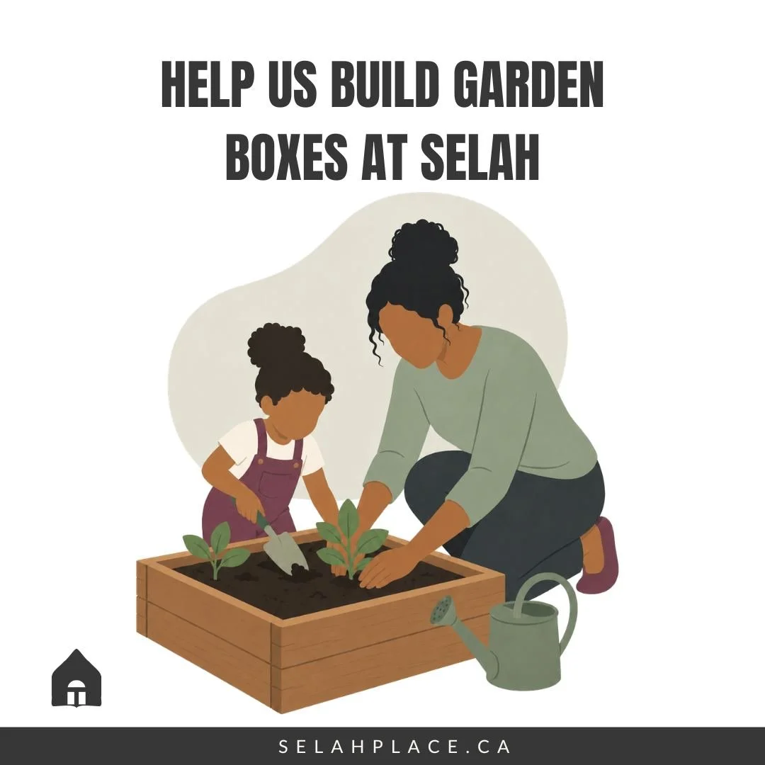 We are hoping to build a few garden boxes at Selah and are wondering if anyone has good-quality wood or fence boards they would be willing to donate.

We are looking for boards that are still sturdy and in usable condition.

The garden boxes will giv