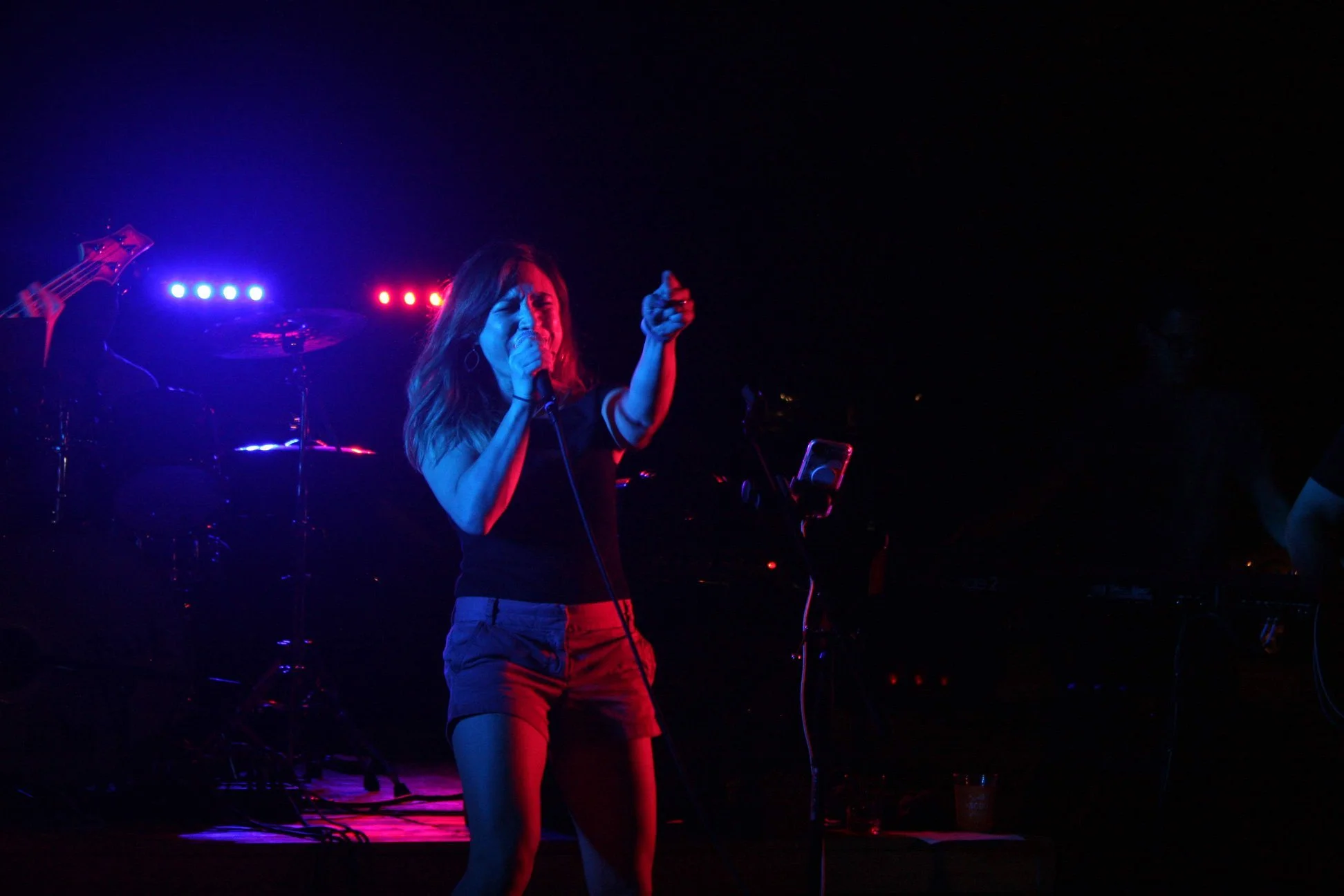 My Short Career as a Rockstar