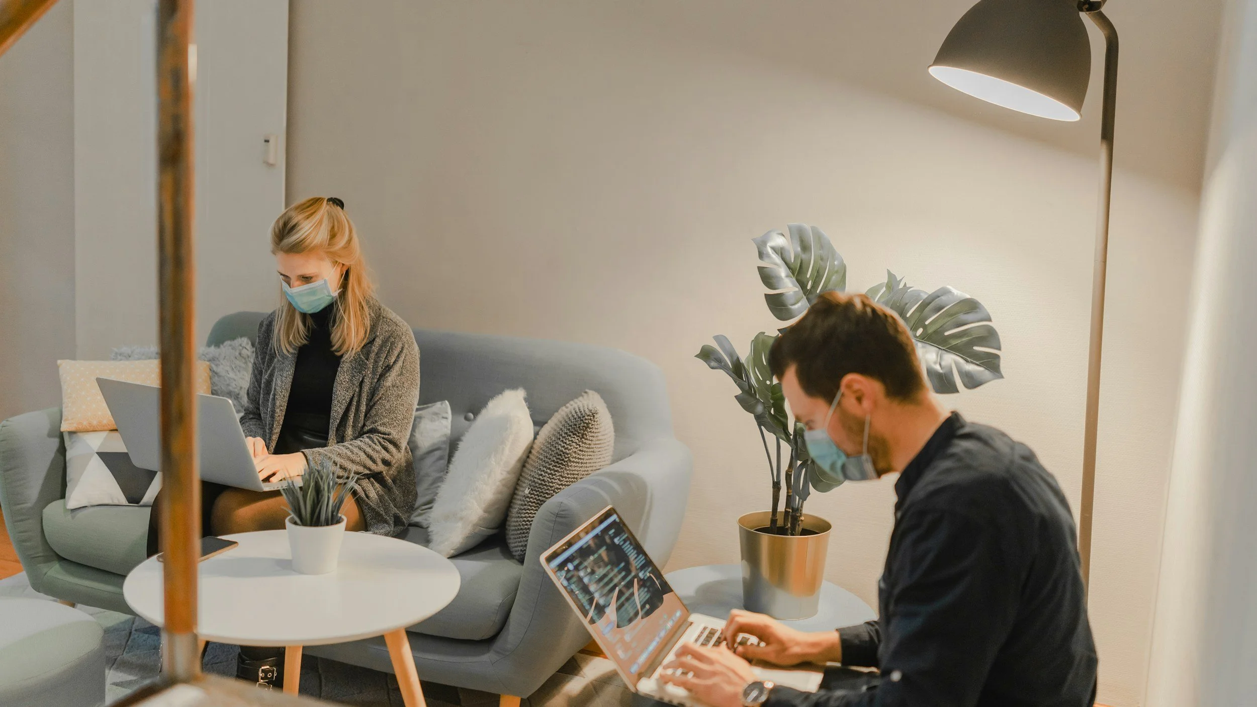 A woman and a man wearing masks working on laptops in a cozy living room with a gray couch, pillows, a white coffee table, potted plant, and a floor lamp.