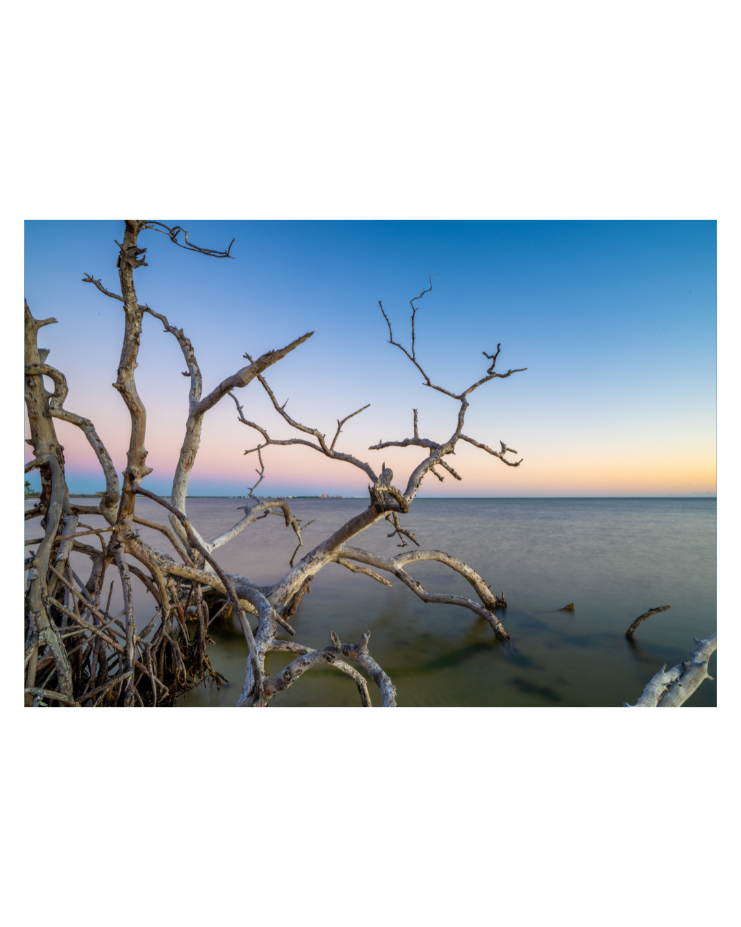 Copy of Copy of Copy of Copy of Copy of state park copy.png