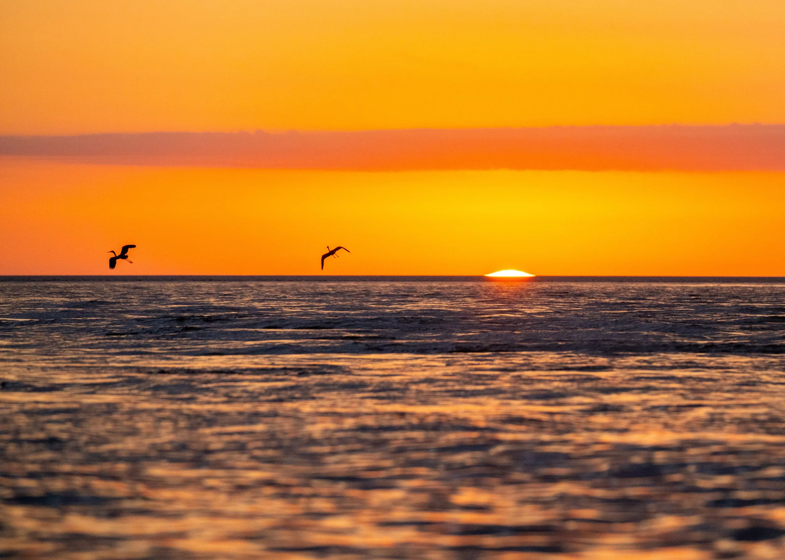 Sunset over the ocean with two birds flying in the sky.