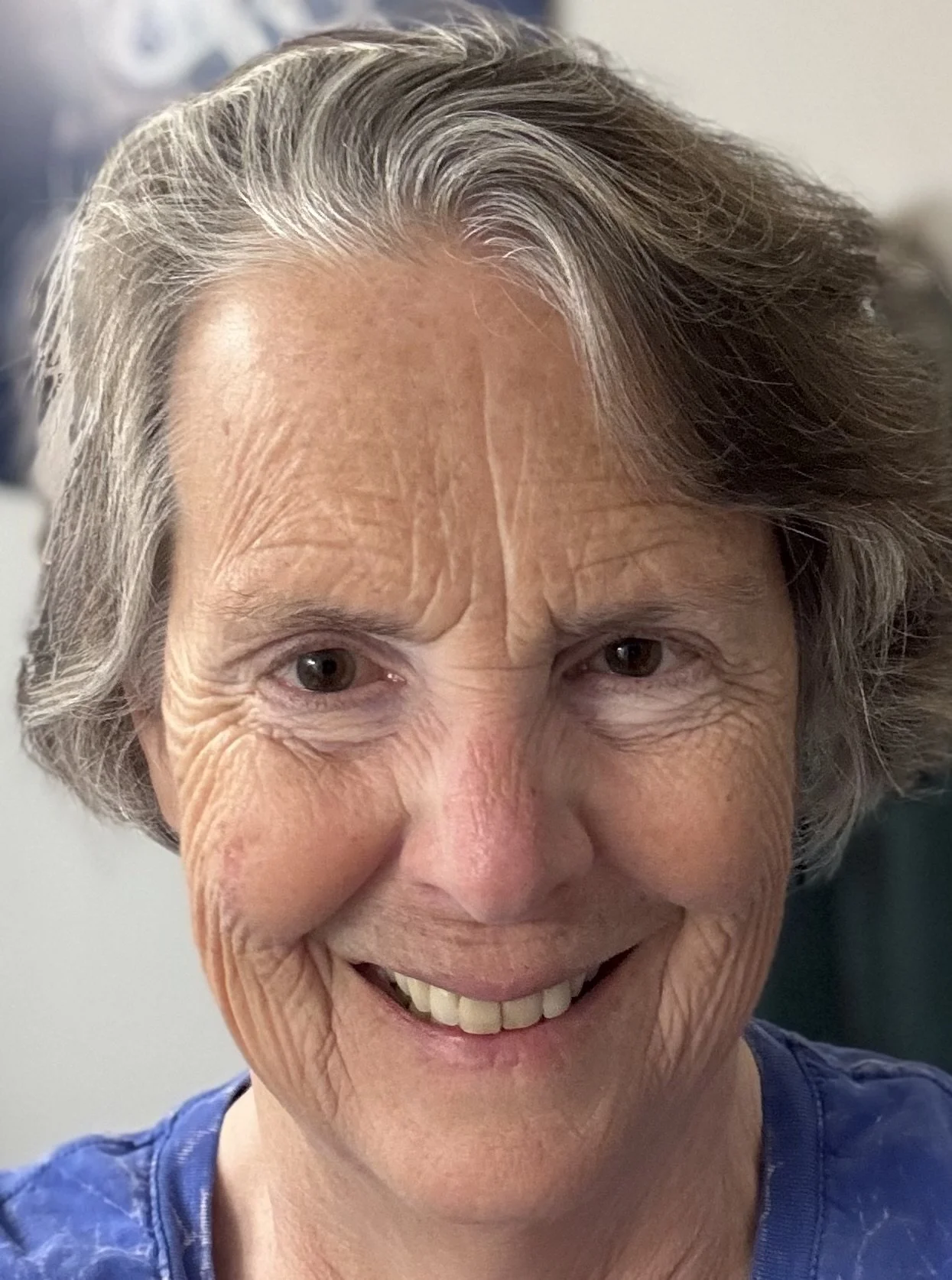 Selfie of Liz Thornton smiling at the camera. She has a blue shirt on and blonde/grey hair.