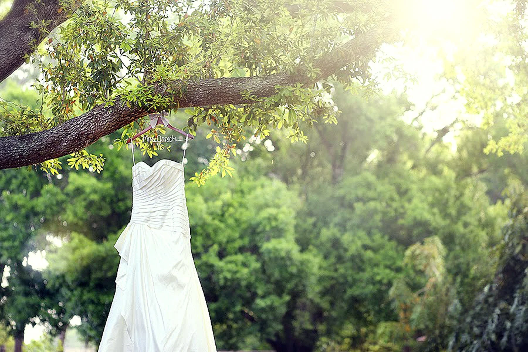 A white dress hanging on a tree branch amidst green leaves with sunlight shining through.