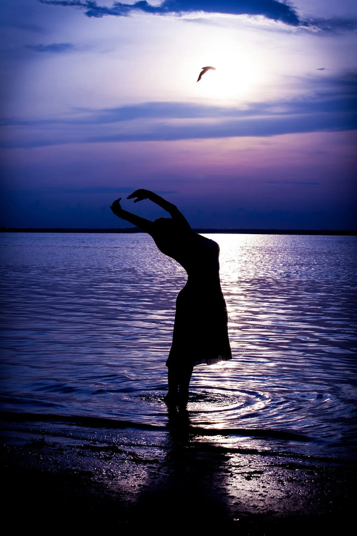 Silhouette of a person standing in water near a shore during sunset, with arms raised and a bird flying in the sky.