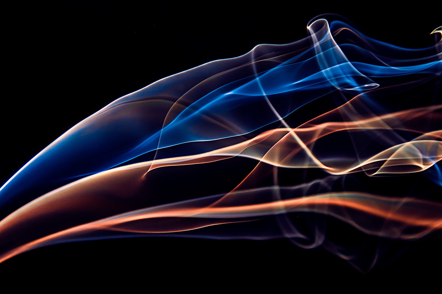 Abstract image of colorful, flowing light trails against a black background, with blue, orange, and purple hues.