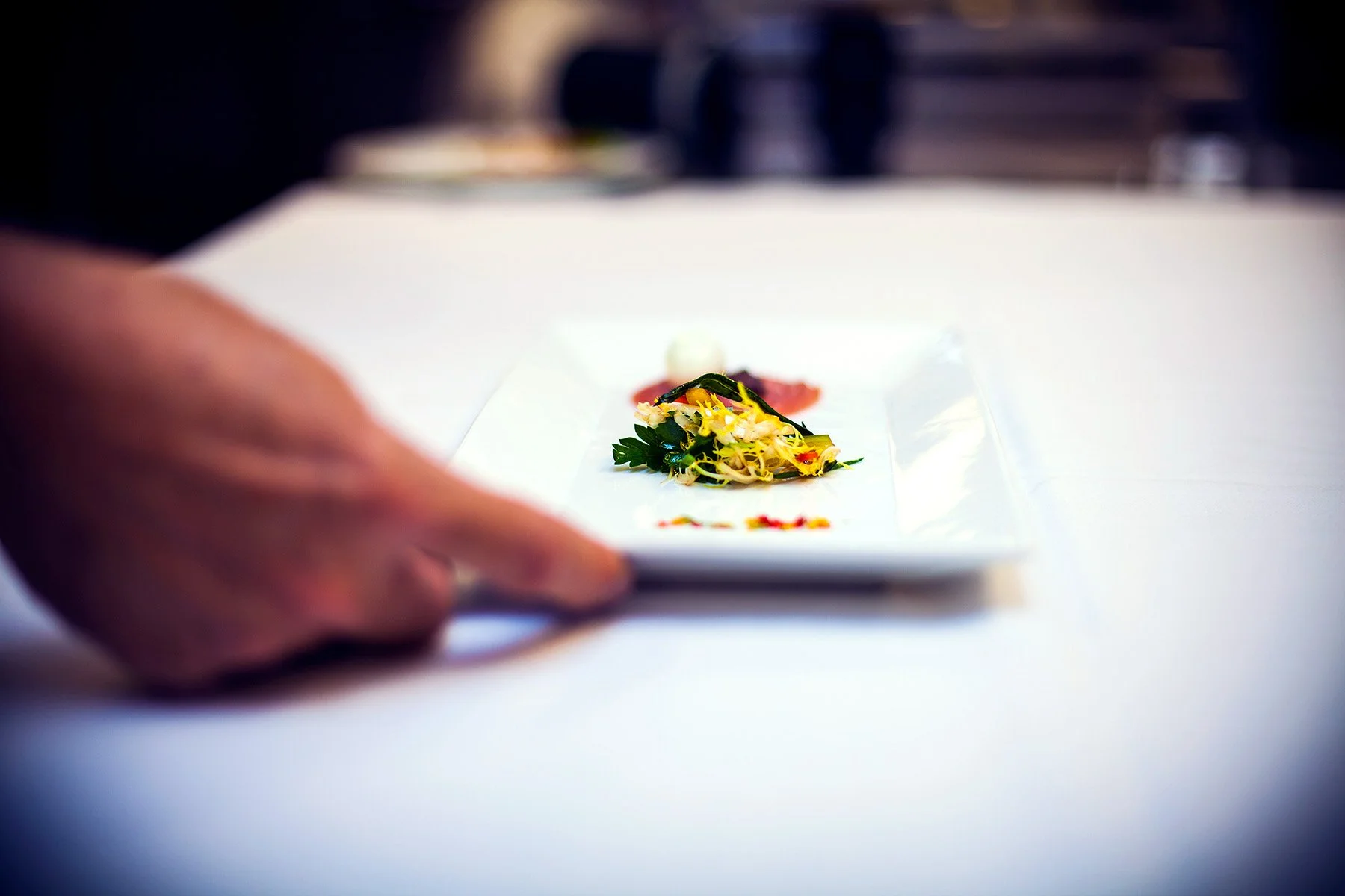 A person holding a white rectangular plate with a small portion of salad garnished with herbs and edible flowers, on a white surface in a professional kitchen environment.