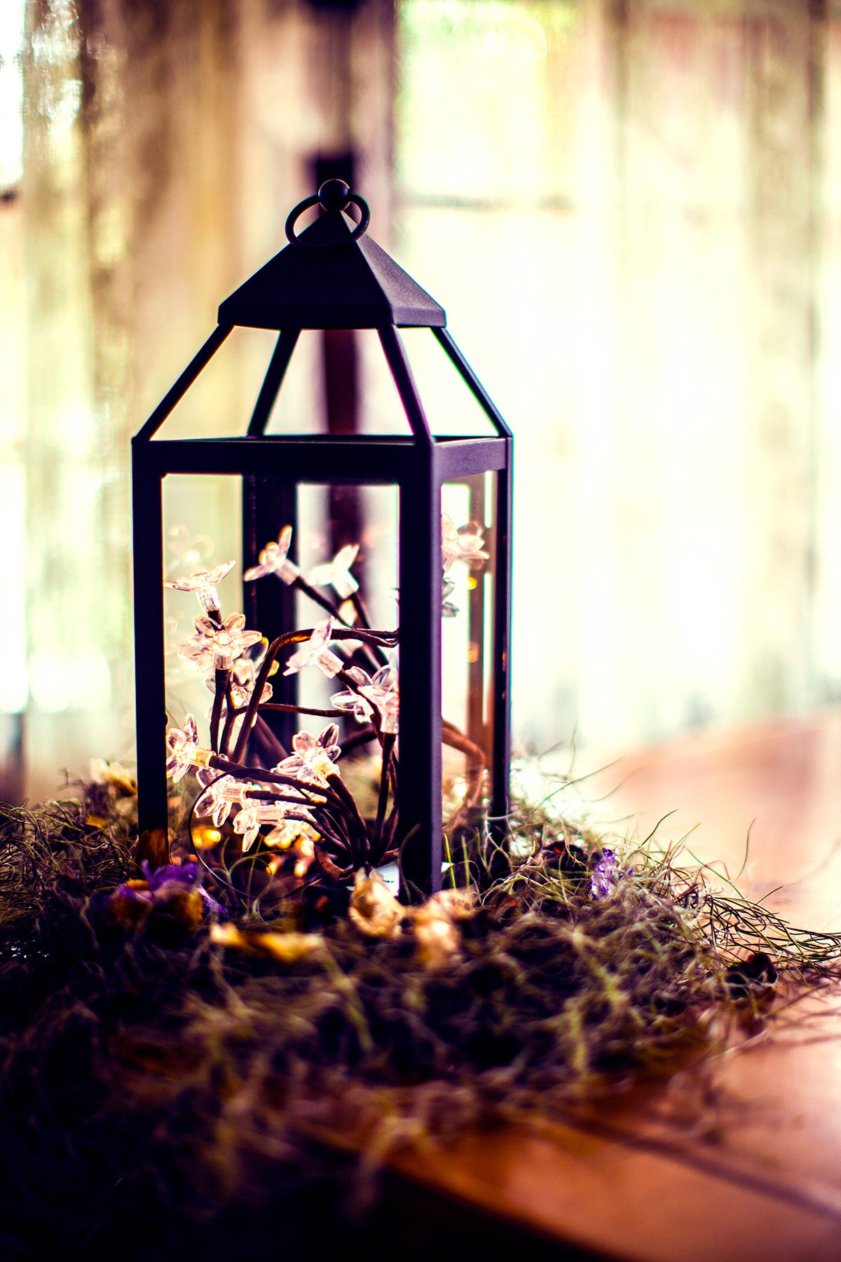 Black outdoor lantern with decorative lights inside, surrounded by moss and small plants, set on a wooden surface with a softly blurred background.