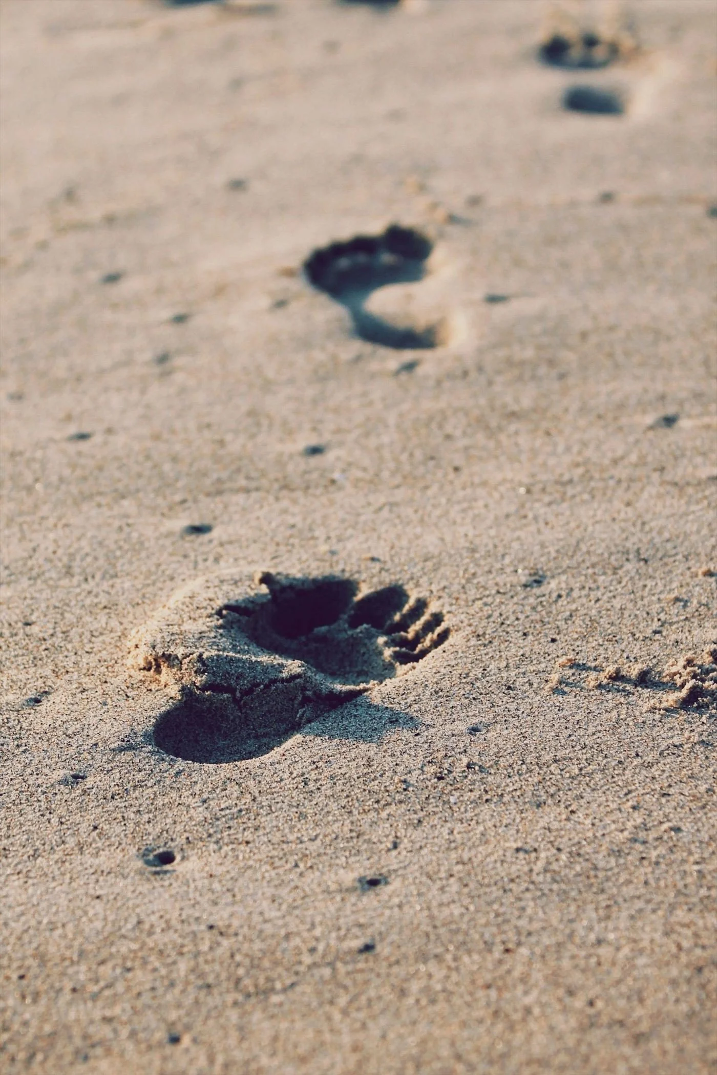 Footprints in the sand on a beach, leading away into the distance.