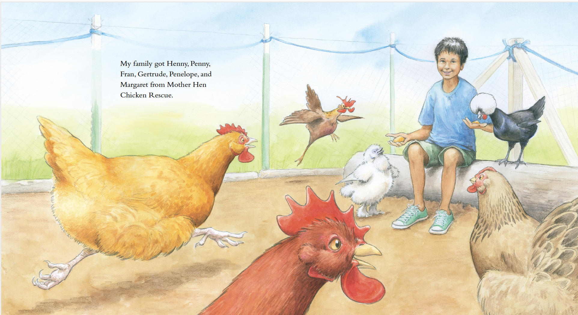 A boy sitting on the ground in a chicken coop, feeding several chickens and roosters of various breeds and colors while a few chickens are flying or standing nearby.