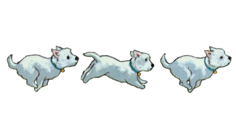 Series of three illustrations showing a white dog running, each with a different body position and speed.