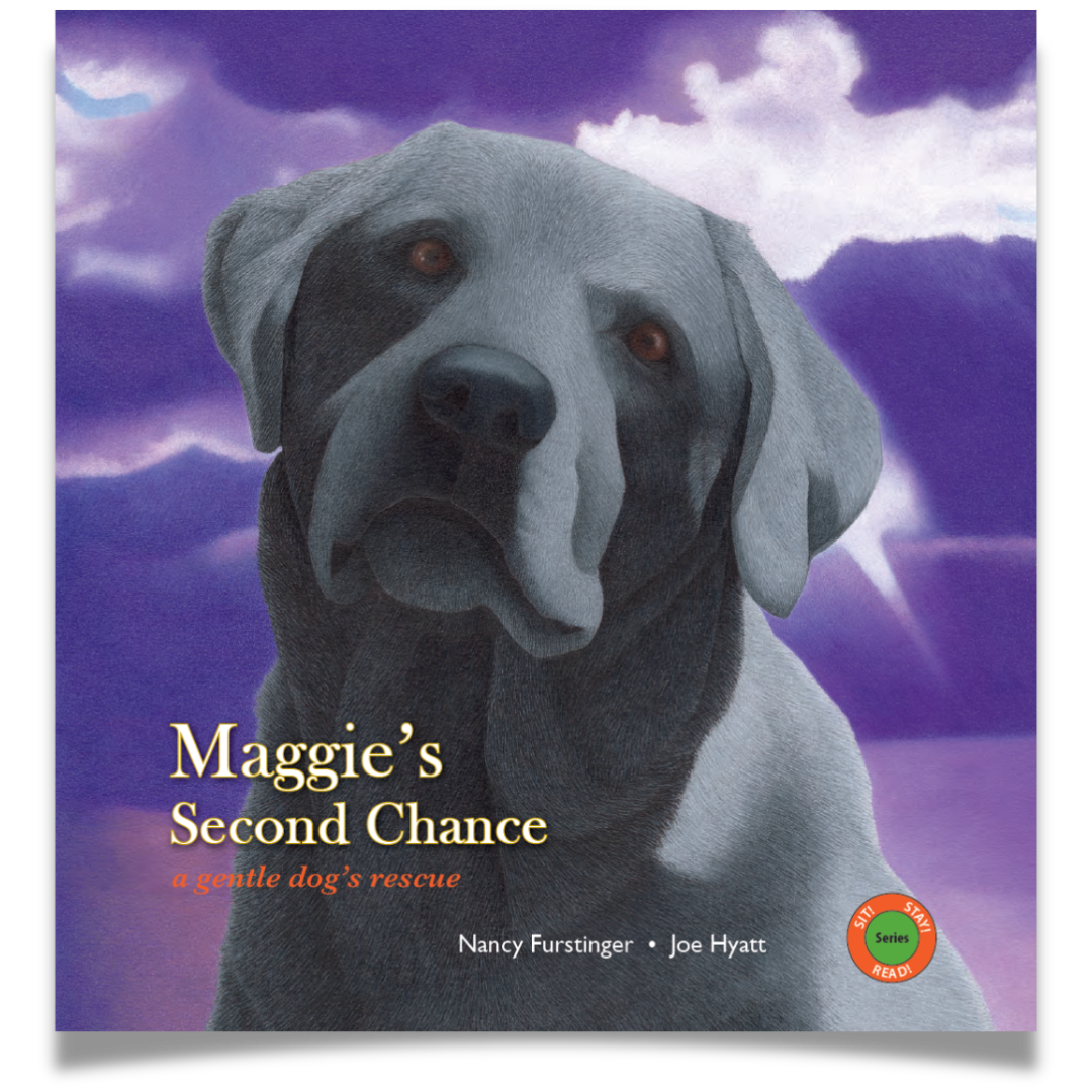 Maggie's Second Chance