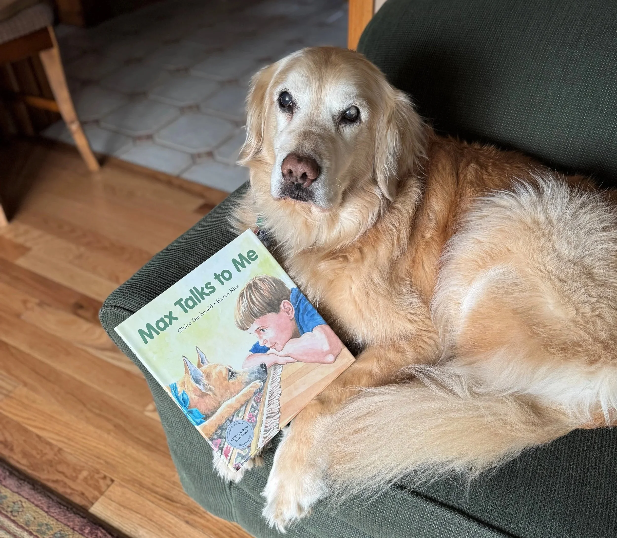 A golden retriever lying on a green couch with a children's book titled 'Max Talks to Me' on its side.