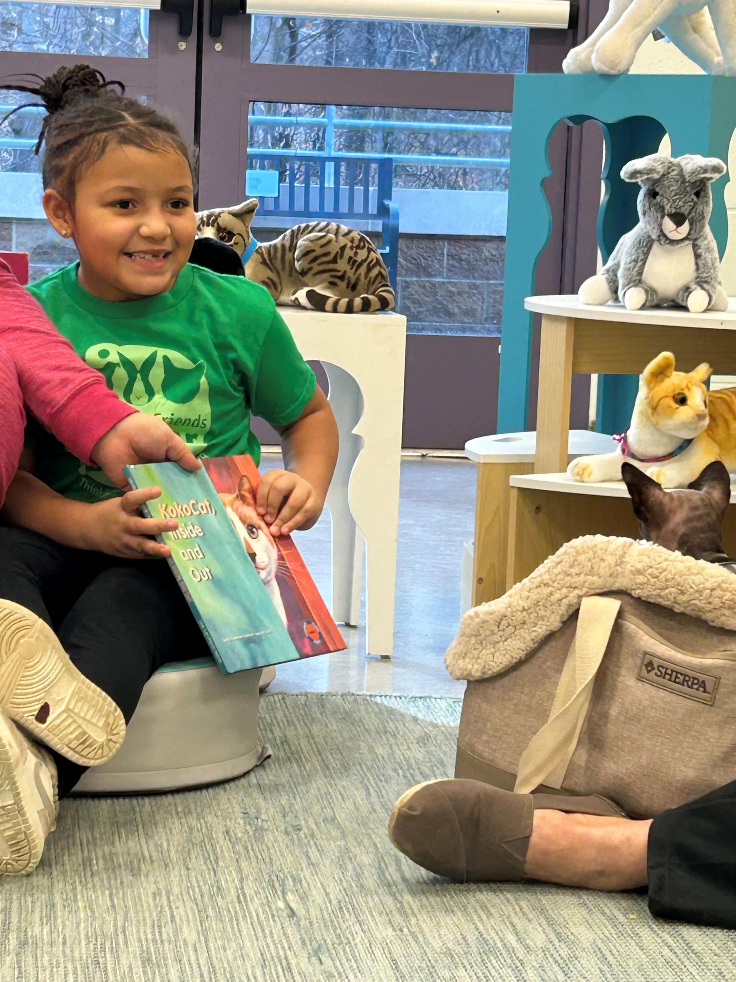 Girl holding a colorful book, with another person partially visible. Inside a room with plush animal toys and stuffed animals displayed, including a gray kangaroo, an orange and white cat, and a tiger, with a large window in the background showing an