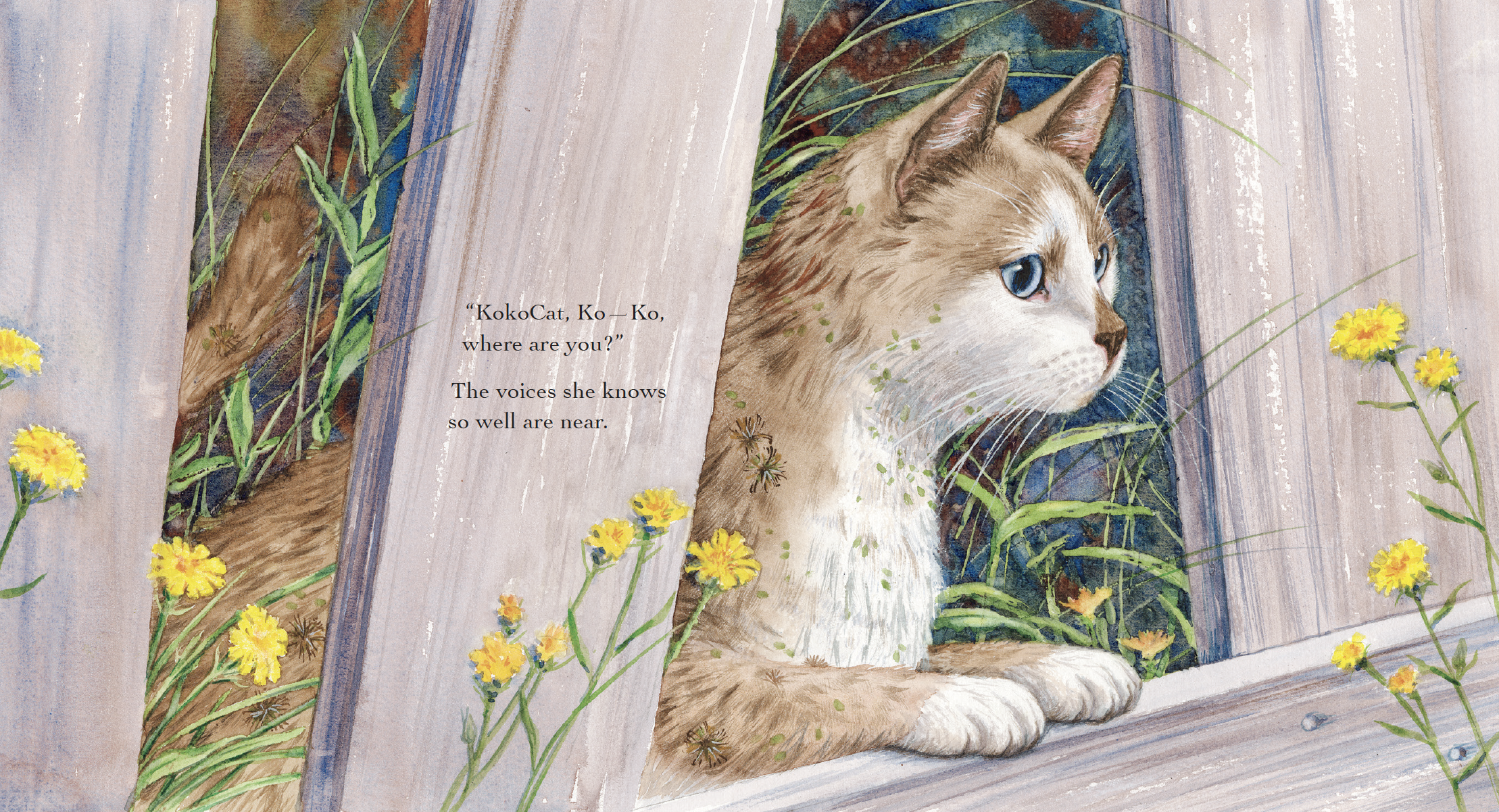An illustrated cat with blue eyes looks out of a wooden window, surrounded by green grass and yellow flowers, with text on the image that says, 'KokoCat, Ko—Ko, where are you?' The scene is peaceful and natural.