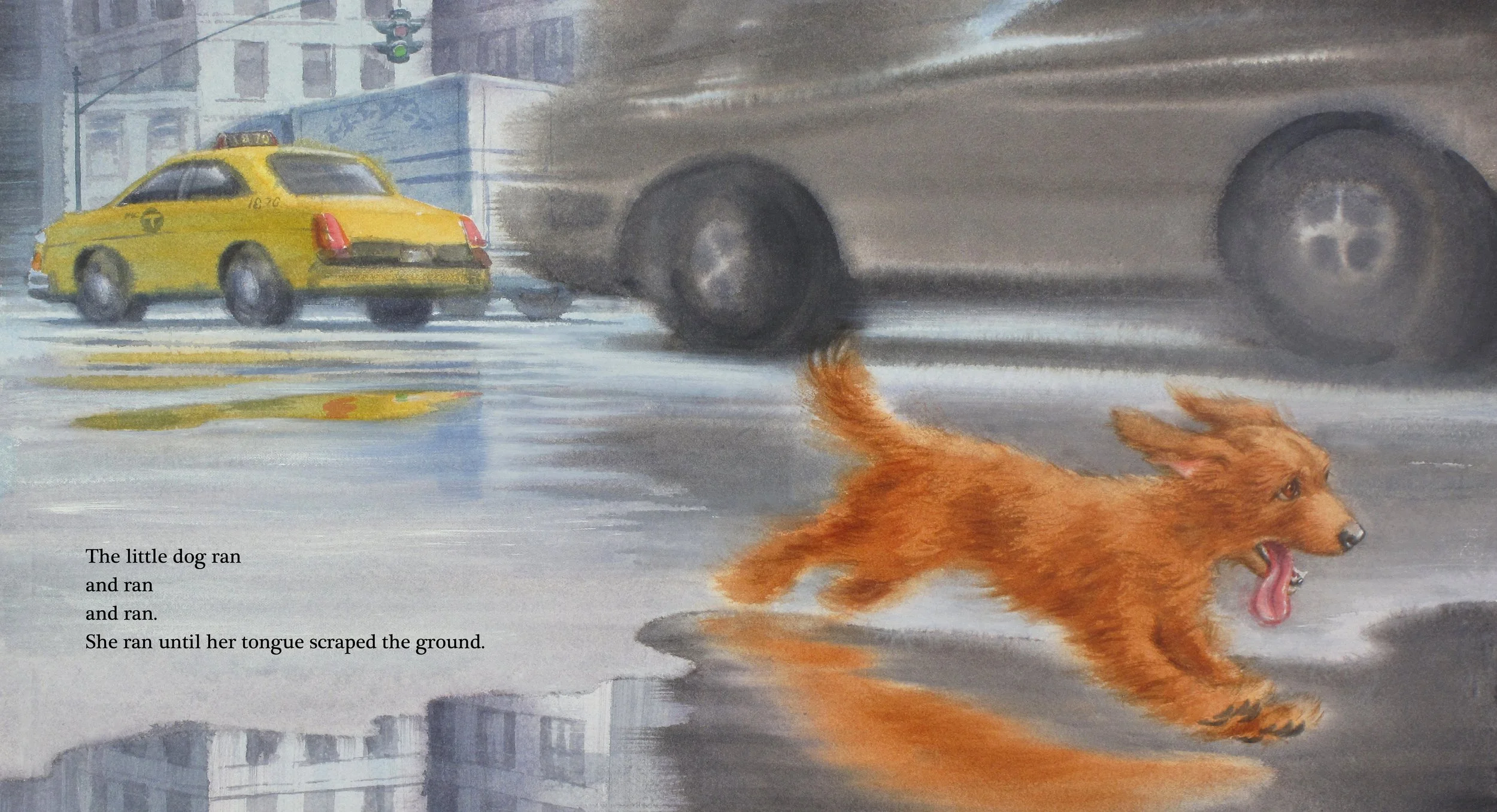 A young brown dog running across a wet city street with a yellow taxi and a black car passing by, reflecting in a puddle.