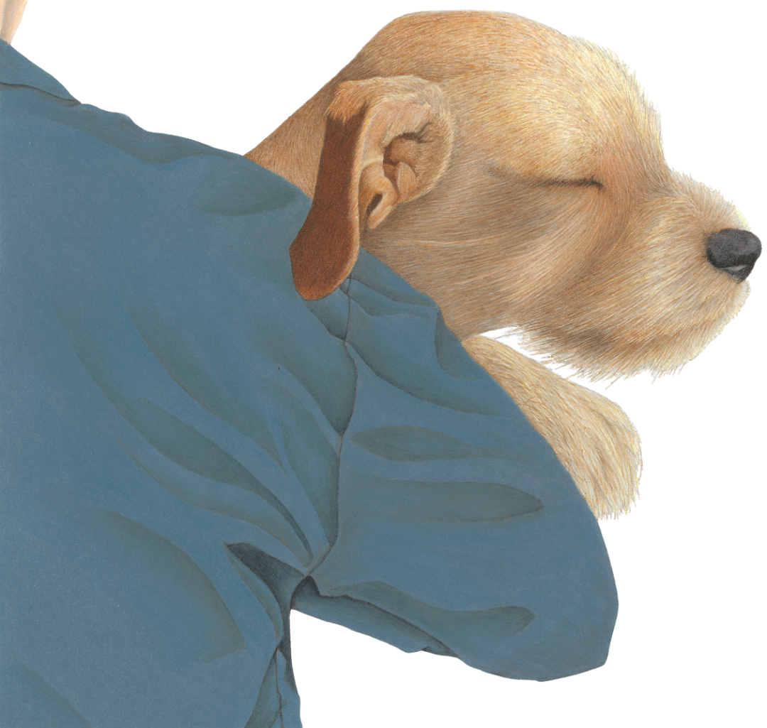 A person in a blue jacket hugging a sleeping puppy with light brown fur and floppy ears.