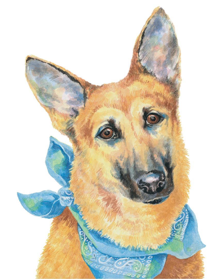 Watercolor painting of a tan dog with large ears, wearing a blue bandana.