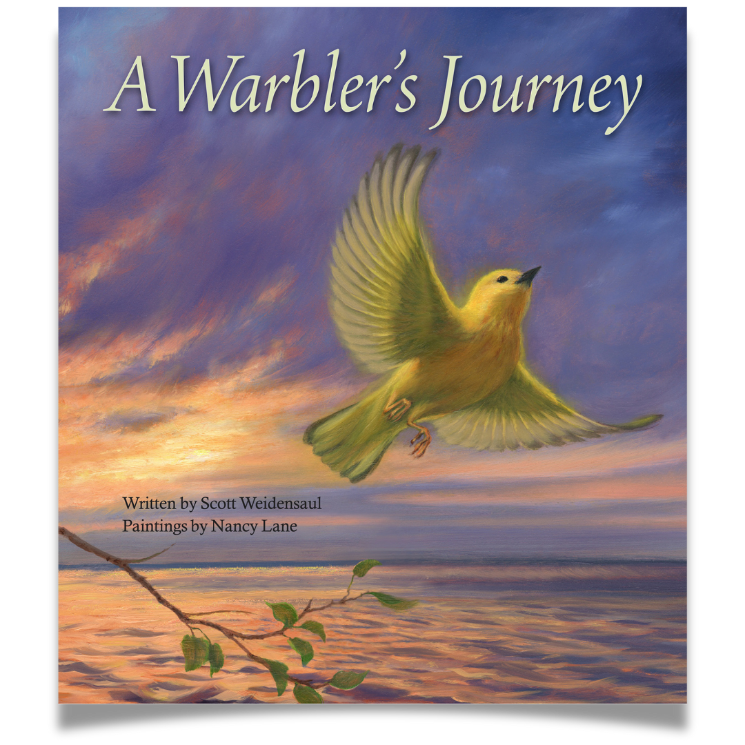 A Warbler's Journey