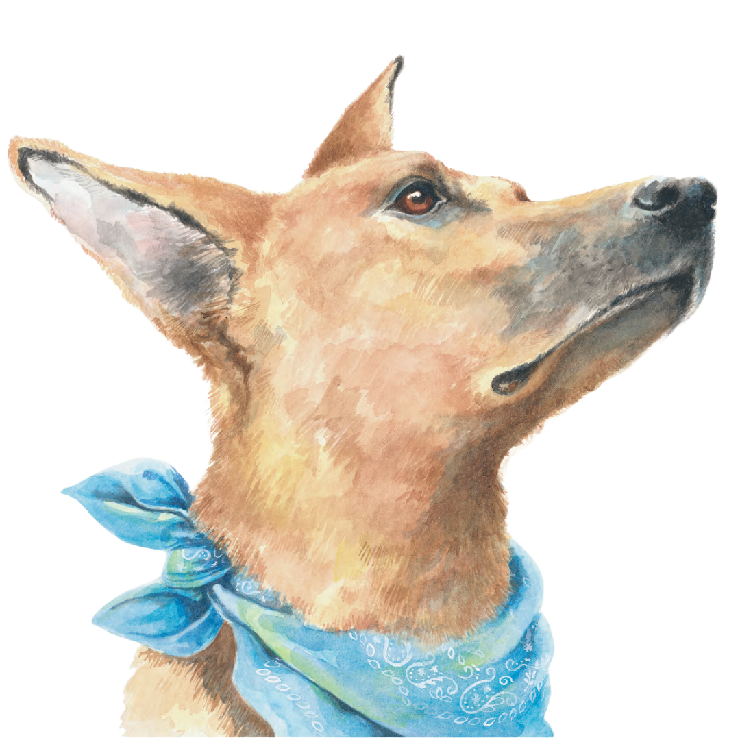 Watercolor illustration of a dog with a blue bandana around its neck, looking to the right.