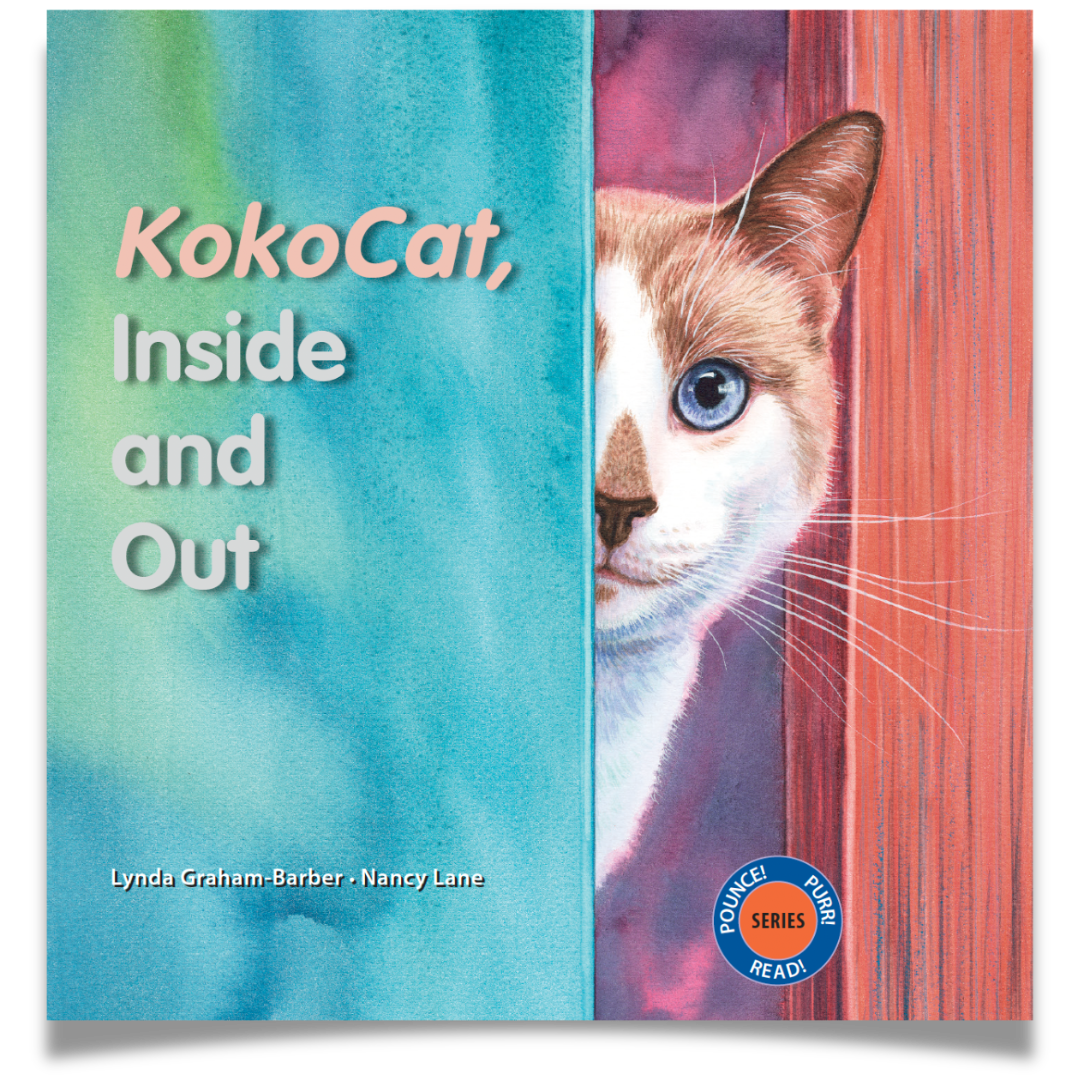 KokoCat, Inside and Out