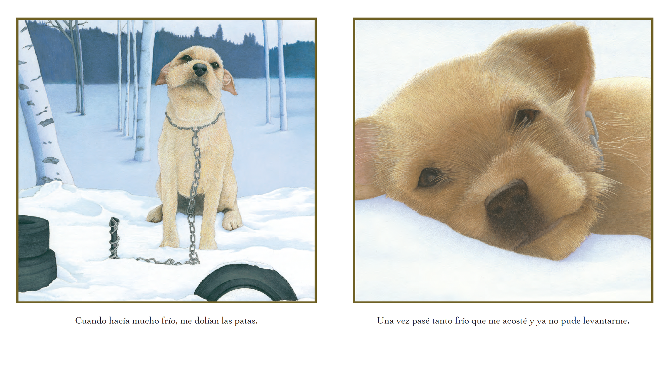 A drawing of a dog sitting in snow with a chain around its neck, next to a snow-covered forest. A close-up of a sleeping puppy lying on snow. Spanish text explains the cold weather causes paw pain and the puppy's inability to get up after lying in th