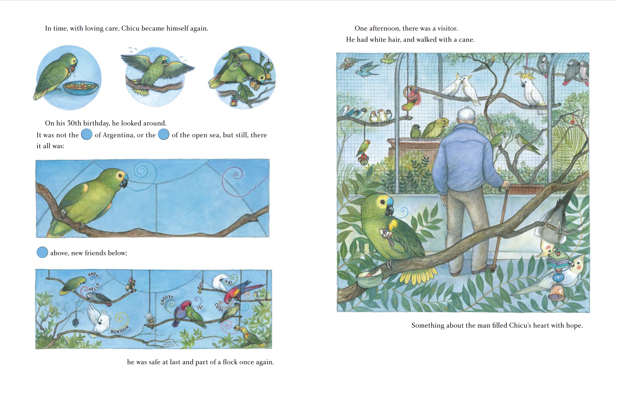 Illustration of birds in a cage with a man viewing them, and parrots and other colorful birds on branches outside. A small bird with a bowtie is perched on a branch inside the cage, and a large green parrot with a yellow head is sitting on a branch o