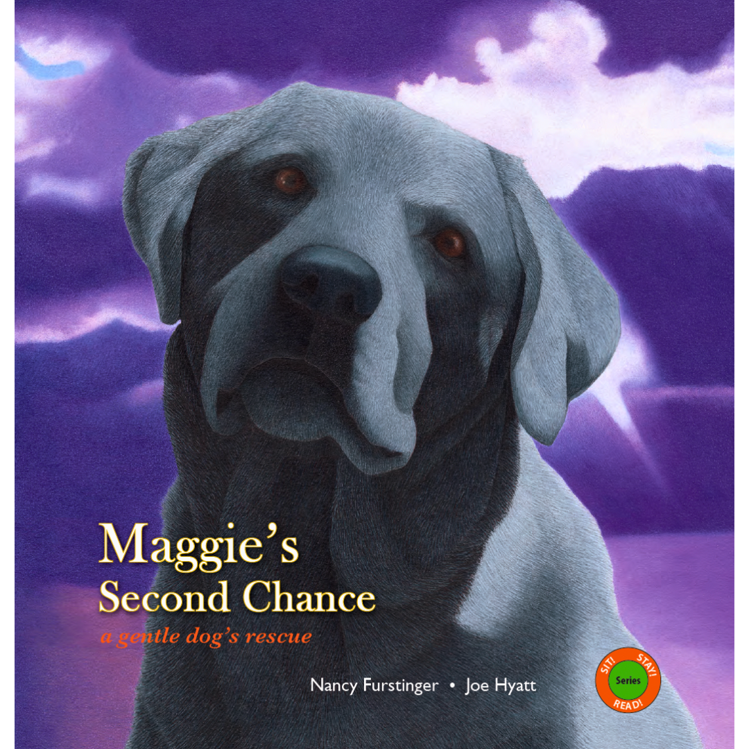 Book cover featuring a close-up illustration of a black and white dog, with purple and pink clouds and lightning in the background. The text reads 'Maggie's Second Chance: a gentle dog's rescue' by Nancy Furstinger and Joe Hyatt.