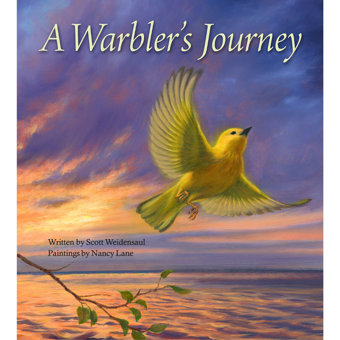 A Warbler's Journey