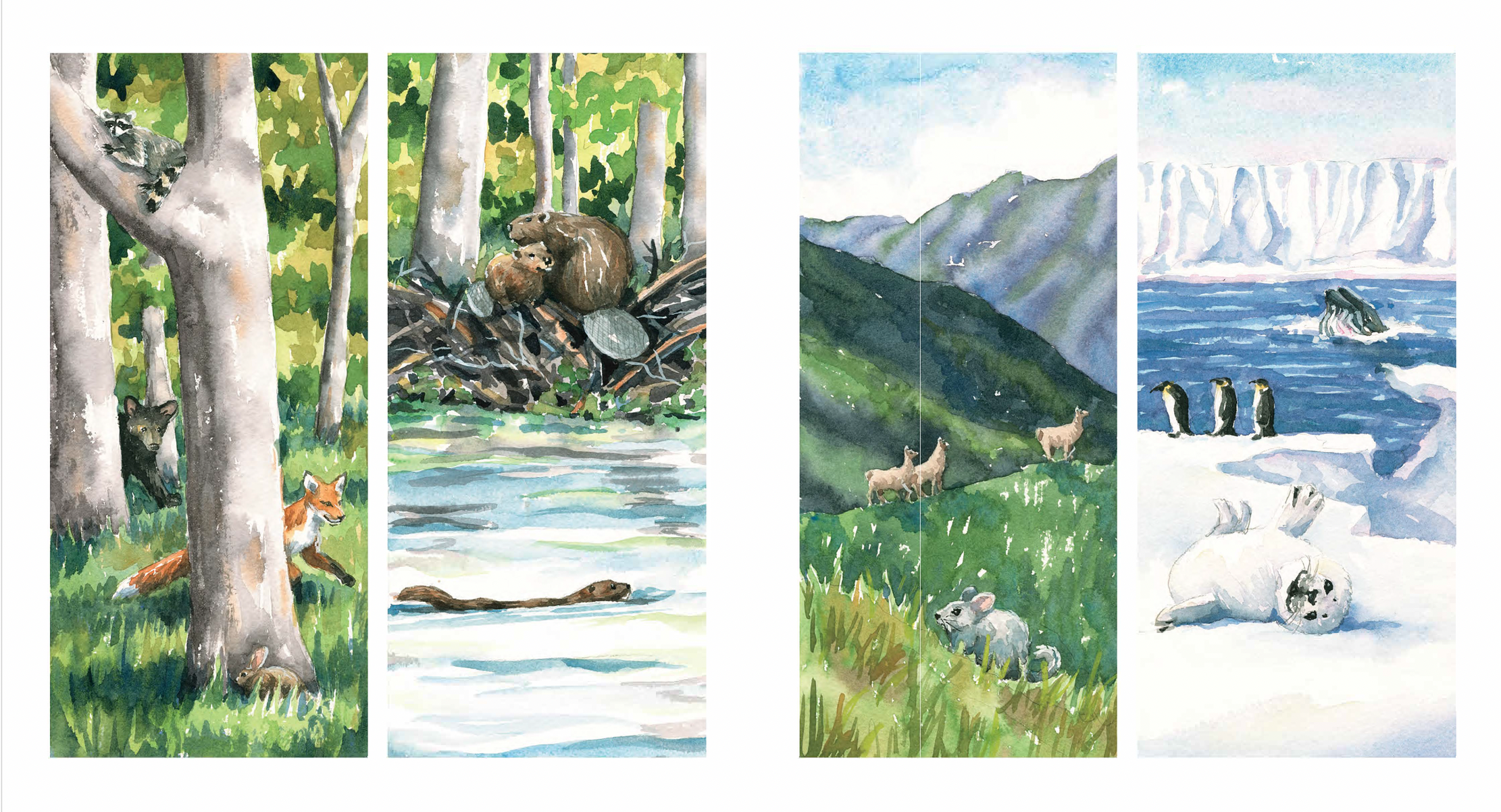 Four watercolor paintings of animals in natural habitats: a bear climbing a tree with a fox and bear cubs nearby; a beaver swimming in a river with a dam and forest; a group of goats on green hills with a gray mouse in the grass; three penguins and a