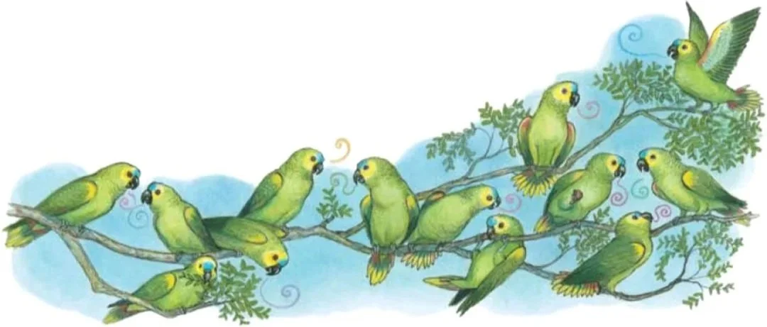 Colorful illustration of numerous green parakeets perched on tree branches.