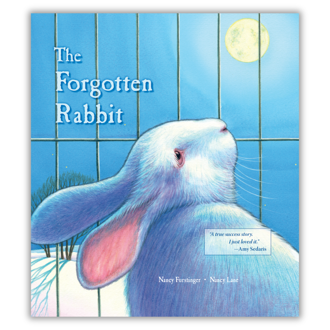 The Forgotten Rabbit
