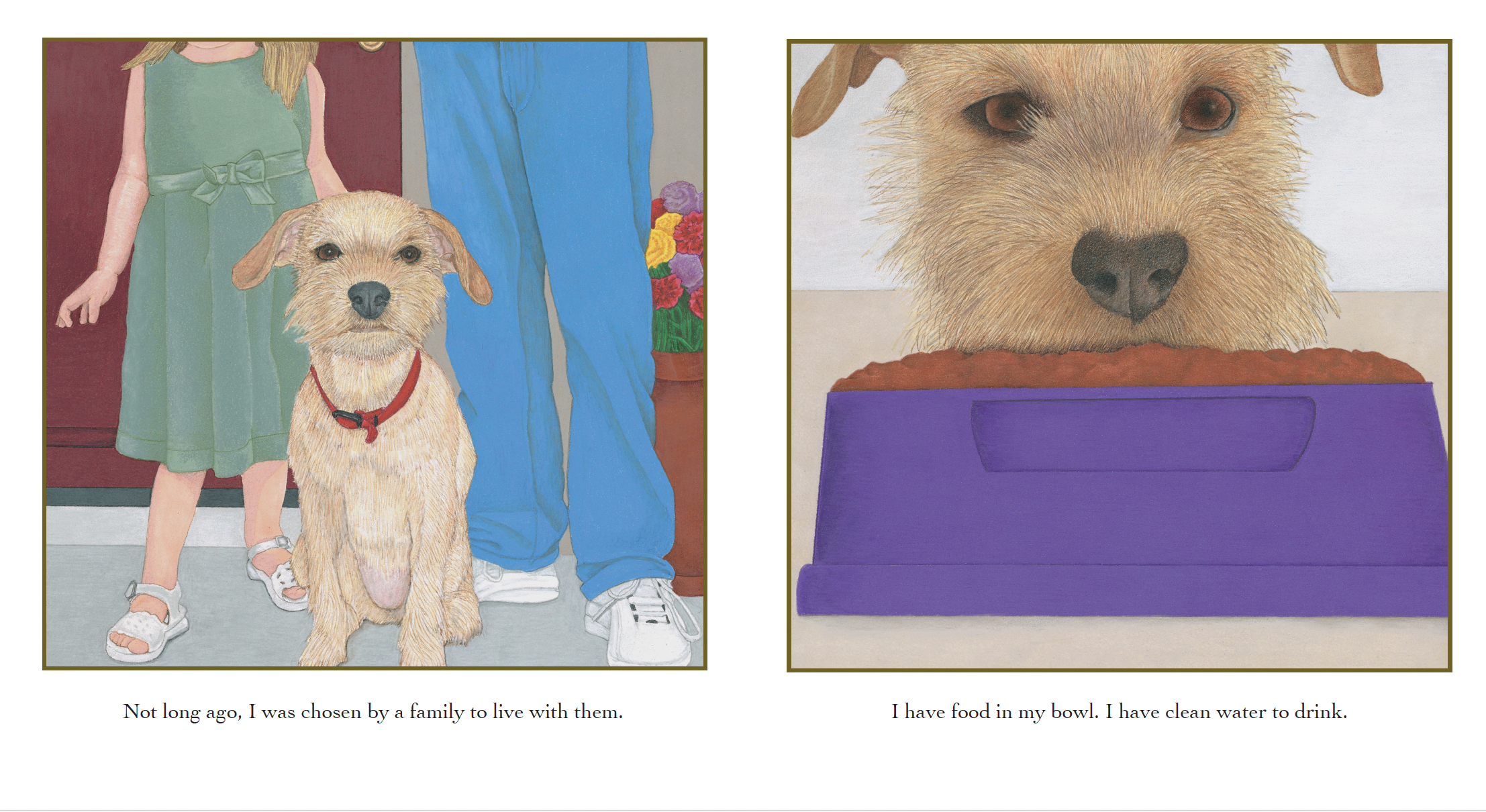 Illustration of a dog with a girl and man in the background, and a close-up of the dog with food in a bowl in the next image. The text reads: 'Not long ago, I was chosen by a family to live with them. I have food in my bowl. I have clean water to dri