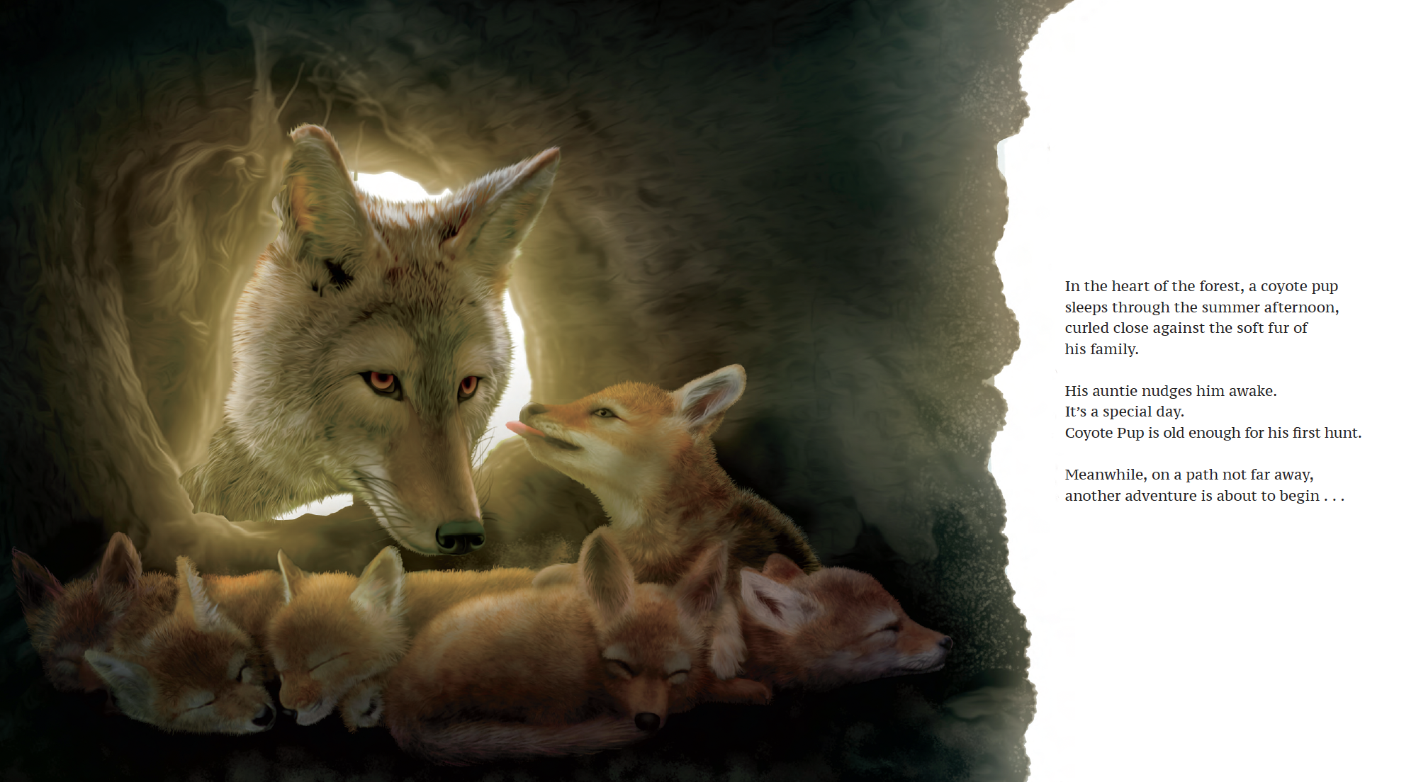 Illustration of a coyote pup inside a cave, surrounded by sleeping coyote pups, with a poem about the coyote's first hunt on the right side of the image.